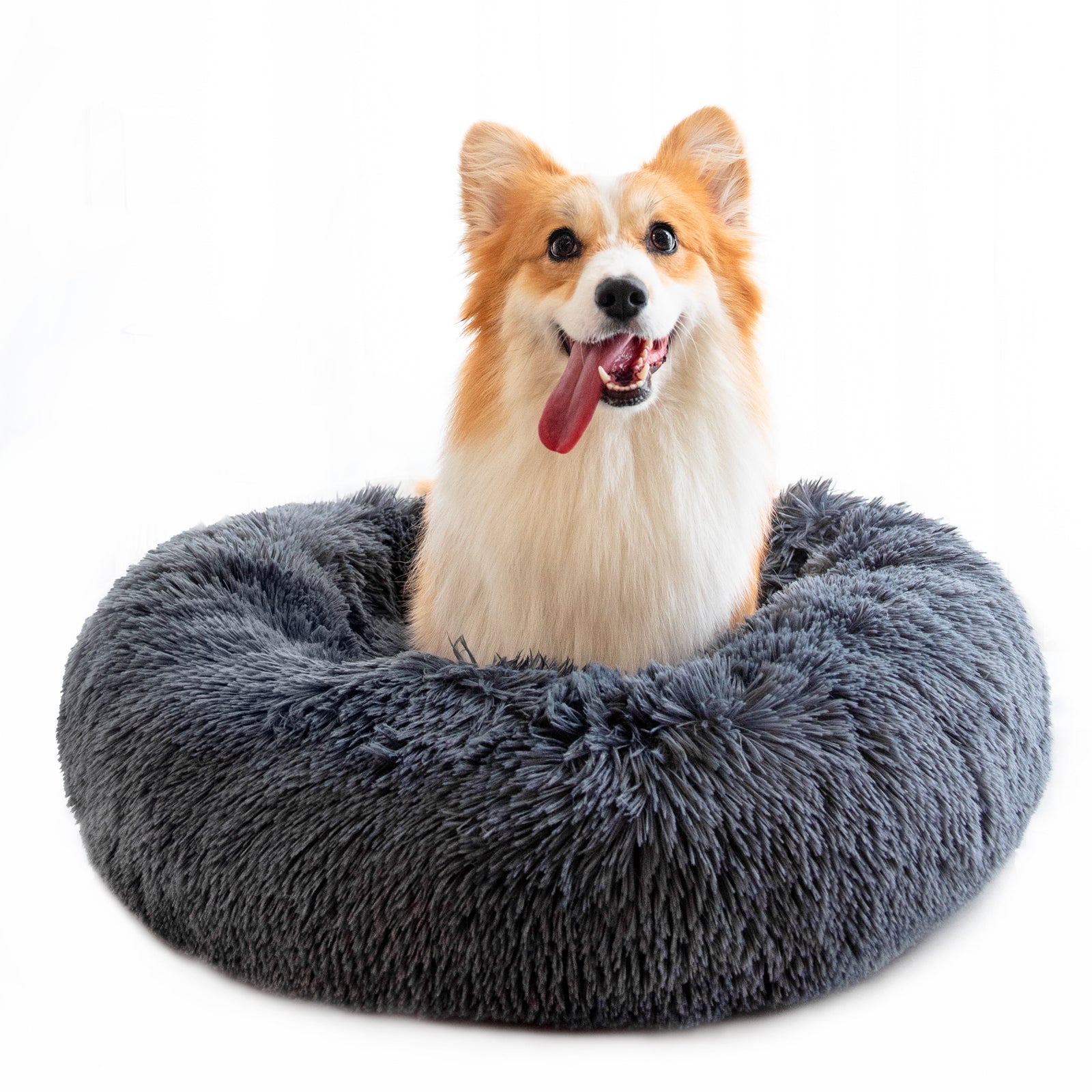 PawsComfort™|- Pet Bed - Unmatched Comfort for Your Beloved Pet!